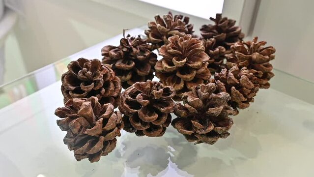 Pine nut cones are displayed during the Gulfood Exhibition in the United Arab Emirates.