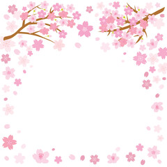 Naklejka na ściany i meble 春の桜の背景イラスト　スクエア