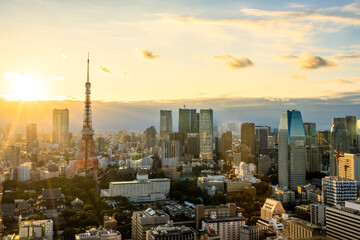 aerial view of Tokyo city in Japan at sunset
