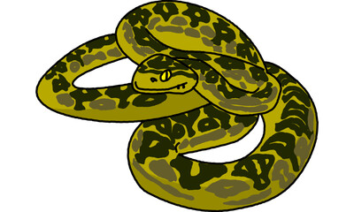 世界自然遺産の島の生き物　ハブ　ポップ調