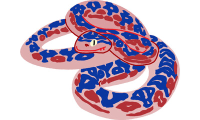 世界自然遺産の島の生き物　ハブ　ビビット調