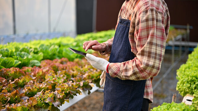 Cropped image of a male farmer using his digital tablet while working in the greenhouse.
