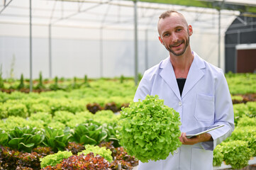 Smiling caucasian male biologist in uniform holding a fresh salad vegetable in the greenhouse.