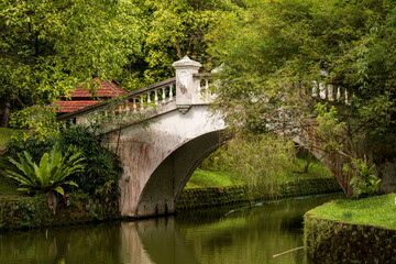 Fototapeta premium A small white stone bridge. A river flows under the bridge, and there is plenty of greenery around. Grass, trees and bushes. Kuala Lumpur. Malaysia
