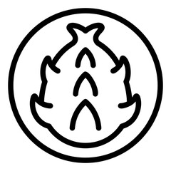 dragon fruit line icon