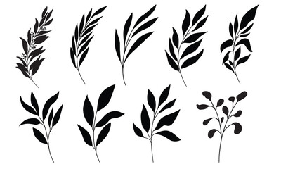 Line art leaf illustration vector on white background	
