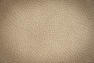 Background texture of old parchment paper. Light brown sepia background with vintage grunge or sponge paint texture with soft beige flecks