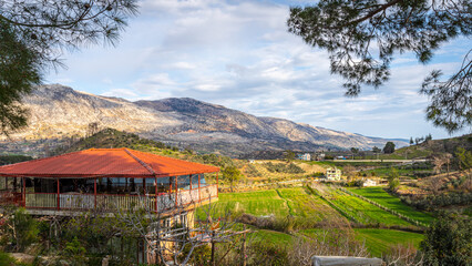 Fototapete bei efototapeten.de bestellen   