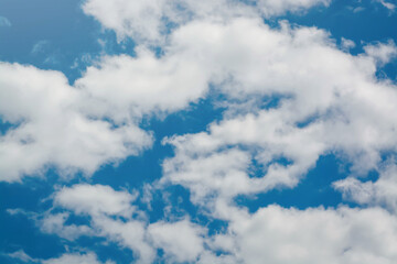Fototapeta premium View with blue sky and light clouds in spring