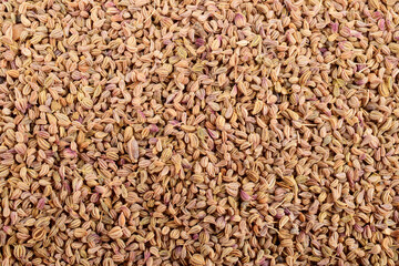 Top view of ajwain seeds texture background
