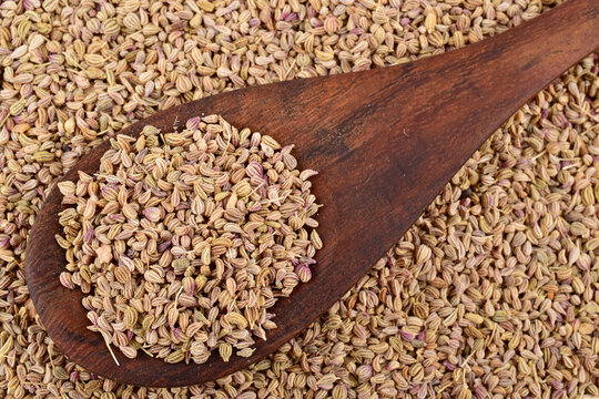 Close up of bishop seeds in spoon, ajwain spicy