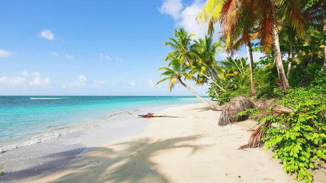 Landscape of an empty white sand beach and turquoise ocean. Beautiful coastline with tall palms. Idyllic Dominican beach, Punta Cana. Vacation on the world's best beaches. Paradise Palm Island.