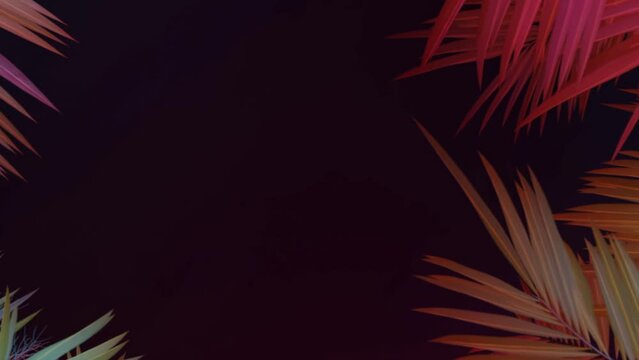 Tropical palm tree leaf frame, zoom out animation