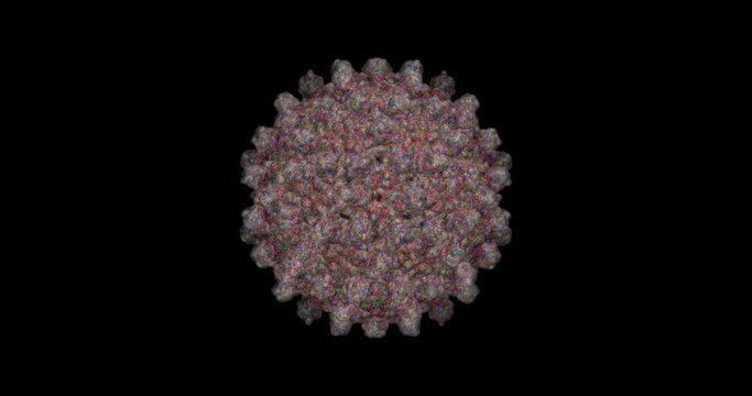 Hepatitis B virus 3D protein molecule spinning 4K