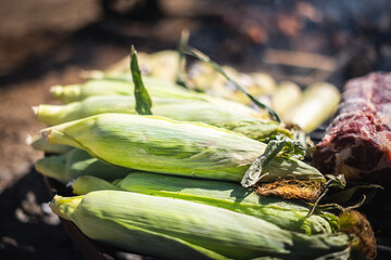 Close up of Grilled Corn on the Cob