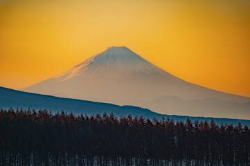 霧ヶ峰より望む富士山