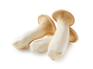 Fototapeta na wymiar eryngii mushrooms placed on a white background.