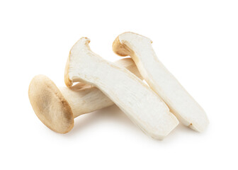 eryngii mushrooms placed on a white background.