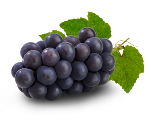葡萄（巨峰）