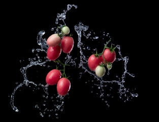Fresh red tomato with water splash and air bubbles isolated on black background.