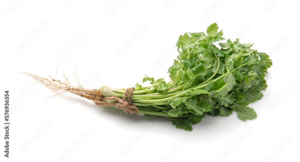 Canvas Prints fresh coriander leaves on white background