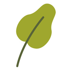 Paper Flower plant botanical
