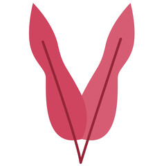 Paper Flower plant botanical
