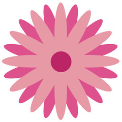 Paper Flower plant botanical
