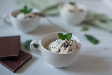 home made straciatella mint ice cream