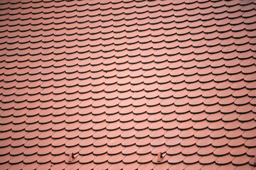Roof tiles - abstract background.