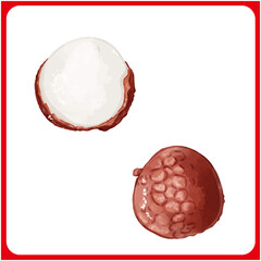 手描き水彩のライチイラスト