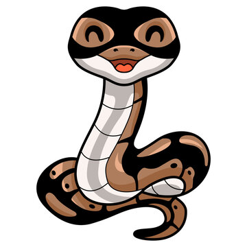 Cute ball python snake cartoon