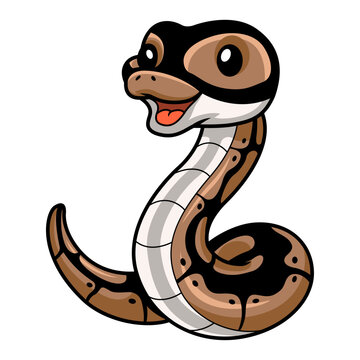 Cute ball python snake cartoon