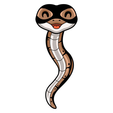 Cute ball python snake cartoon