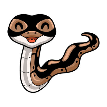 Cute ball python snake cartoon