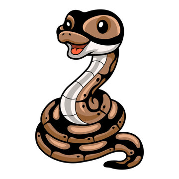 Cute ball python snake cartoon