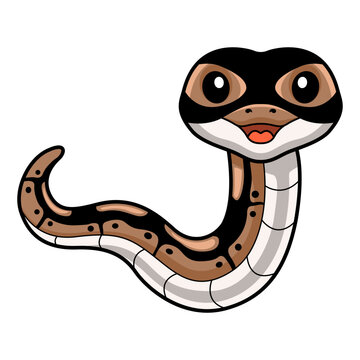 Cute ball python snake cartoon