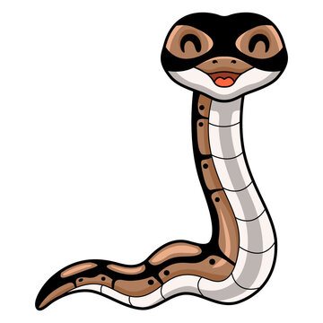 Cute ball python snake cartoon