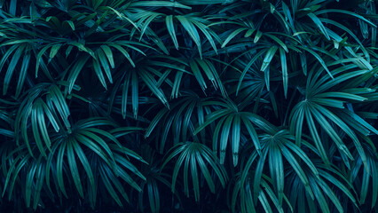 Naklejka na ściany i meble closeup nature view of palm leaves background, dark nature pattern concept
