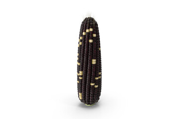 black corn isolated