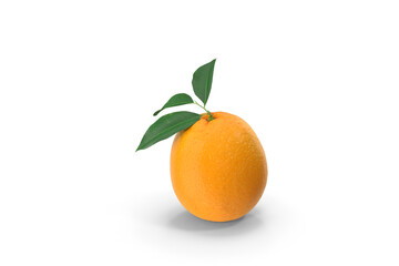 orange with leaves