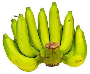 Green banana  on white background PNG File. © KT Studio
