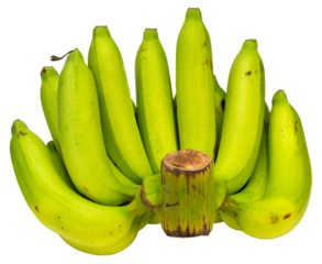 Green banana  on white background PNG File.