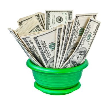 Money dollar grows in a flowerpot isolated. png transparent