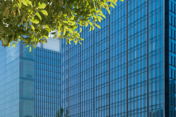 Plakat background of the glass modern office building.