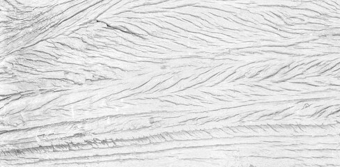 White wood surface natural texture background