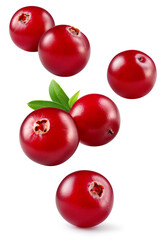 Cranberry isolated. Cranberries flying on white background. Cranberry berries with leaf falling. Full depth of field.