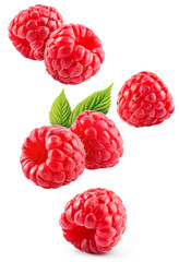 Raspberry isolated. Red raspberries with green leaf isolate on white background. Raspberry with...