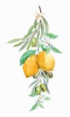 A composition of lemons and olive branches. Hanging down a bouquet in the style of Provence. A composition of fruits for decorating dishes, invitations, weddings in a rustic style. Retro watercolor.