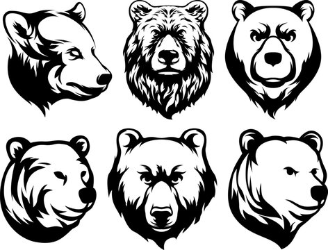 Head of bear. Abstract character illustration variant set. Graphic logo design template for emblem. Image of portrait.